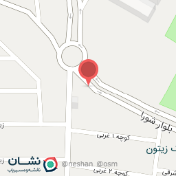 عکس قصابی‌ امیر