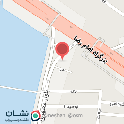 عکس کفش پانیذ 