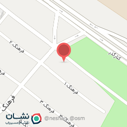 عکس پیتزا آریو