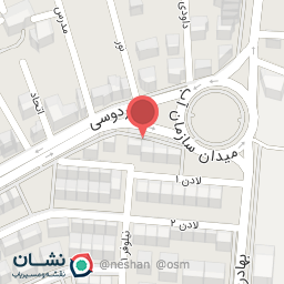 عکس فرش سفیر ابریشم جاوید