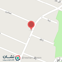 عکس کیف و کفش سارا