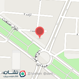 عکس مرغ برتر