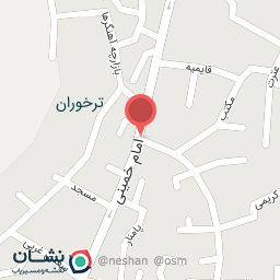 عکس مسگری امیر