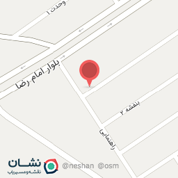 عکس تزئیناتی خودروی راضی