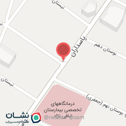 عکس تابلو فرش شاهین