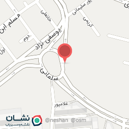 عکس کباب علی