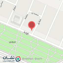 عکس هیات محبین فاطمه الزهرا یادگاران شهدا