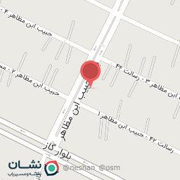 عکس نجاری علوی