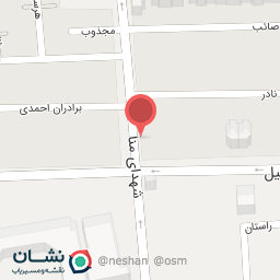 عکس اگزوزسازی