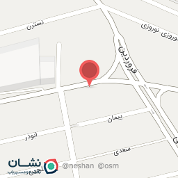 عکس برادران