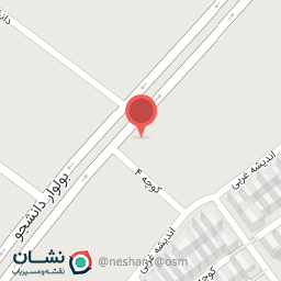 عکس تزئینات اتوموبیل معراج