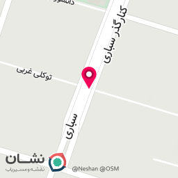 عکس خدمات تخصصی رنگ لایت احیا صافی حسینی