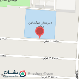 عکس شاهین تشک