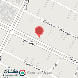 عکس لاستیک نظری