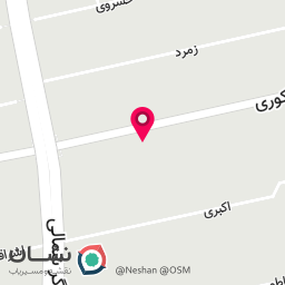 عکس خدمات تخصصی کاشت ناخن نوژان