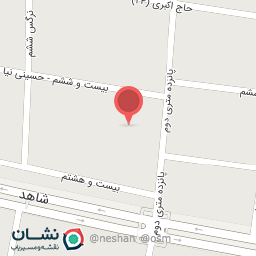 عکس دکتر سعیده شمس