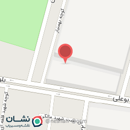 عکس میوه تر بار