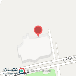 عکس پیتزا چیکولند اپال