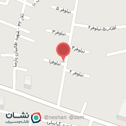 عکس برگر بانک