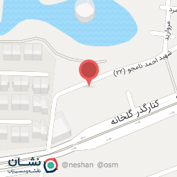 عکس دکتر میترا پهلوان