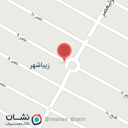 عکس چلوکبابی دلچسب