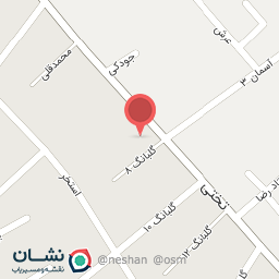 عکس تهیه غذای پارسه