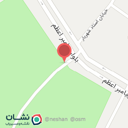 عکس غذای ناب