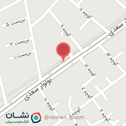 عکس تراشکار استاد محمد علی عزیزی