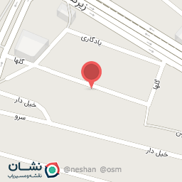 عکس دکتر اشرف السادات حسینی