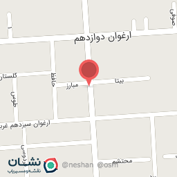 عکس پانسیون تخصصی گربه اُروس