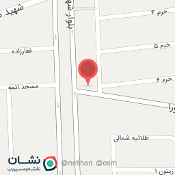 عکس راشد اتو سرویس