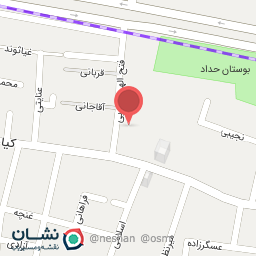 عکس میوه فروشی تمشک