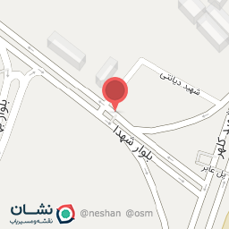 عکس چاپ نقشینه