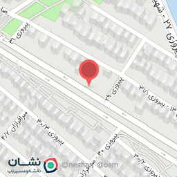 عکس برق خودرو نجاتیان