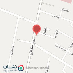 عکس تهیه غذای آریا