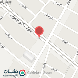 عکس مکانیکی برادران فتح الهی