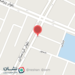 عکس تزئینات اتومبیل نبی زاده