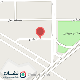 عکس ترشیجات و پروتئینی امیر