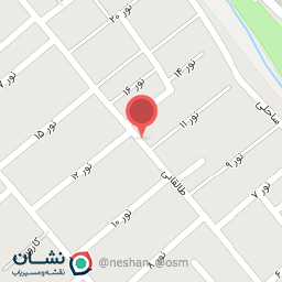 عکس گالری کیف و کفش بانوی ایرانی