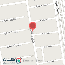 عکس خودپرداز