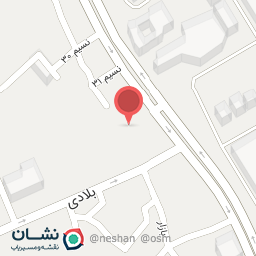 عکس نجاری دختر طارمه