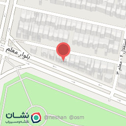 عکس چیکا برگر