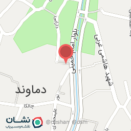 عکس عسل توکلی