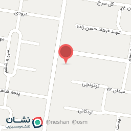 عکس غذای اصیل فلوت