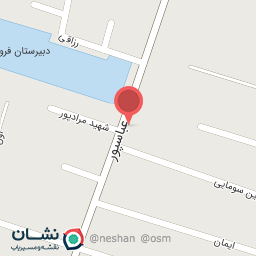 عکس الکتریکی ترابی