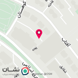 عکس دکتر ایلناز شاکرزاده