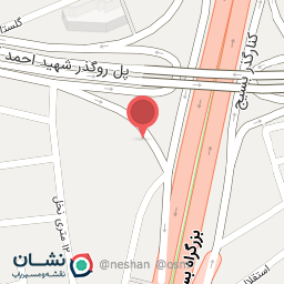 عکس سرویس‌ کاری و تعویض روغن  شاهی