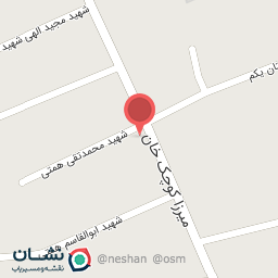 عکس پیتزا کاخ