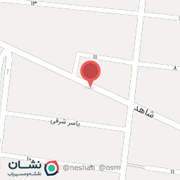 عکس نانو کارواش دلکده