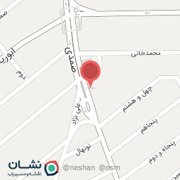 عکس گلدوزی امیر